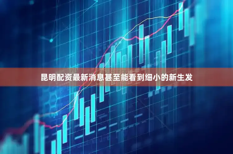 昆明配资最新消息甚至能看到细小的新生发