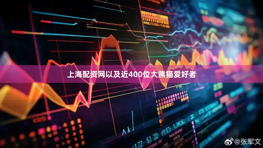 上海配资网以及近400位大熊猫爱好者
